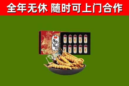 永胜回收冬虫夏草价格